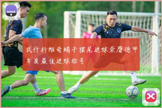 武什科维奇蝎子摆尾进球荣膺德甲年度最佳进球称号