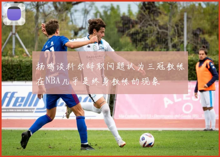 杨鸣谈科尔辞职问题认为三冠教练在NBA几乎是终身教练的现象